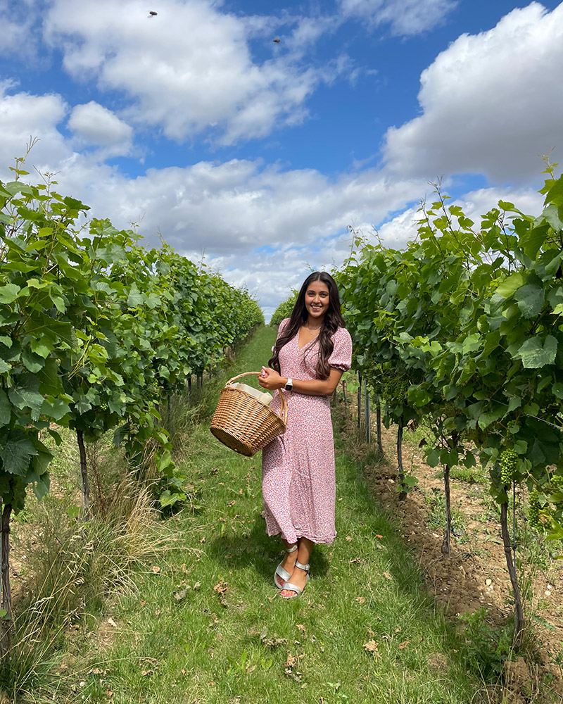 Wedding photographer walking through vineyard with picnic basket